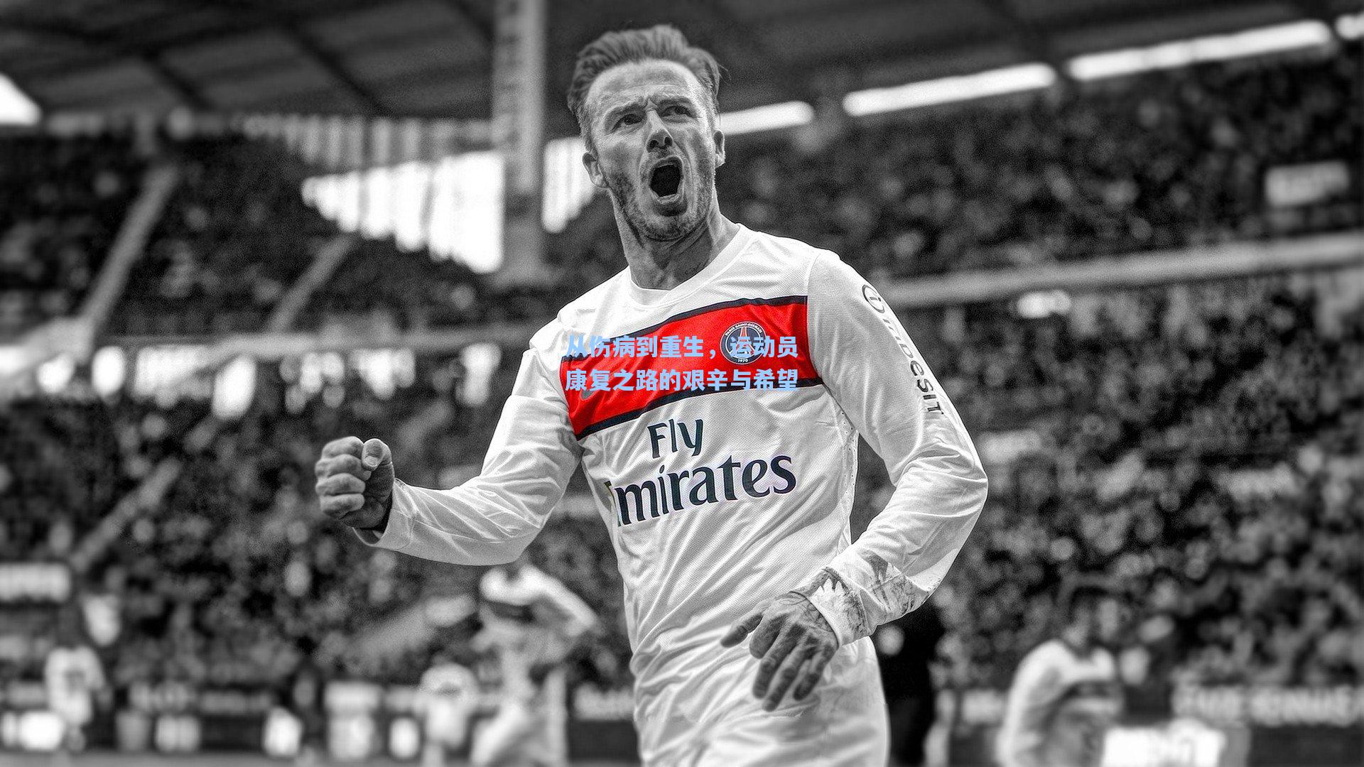 从伤病到重生，运动员康复之路的艰辛与希望